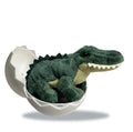 Hatchling - Alligator